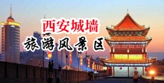 几把大战小穴网站中国陕西-西安城墙旅游风景区