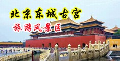 用大鸡巴操小骚逼中国北京-东城古宫旅游风景区